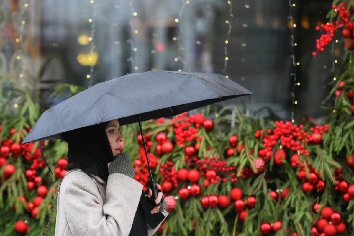    Уже давно специалисты по всему миру говорят о глобальном потеплении. Климат Земли стремительно теплеет, и средняя температура за 10 лет вырастает примерно на 0,5°C.