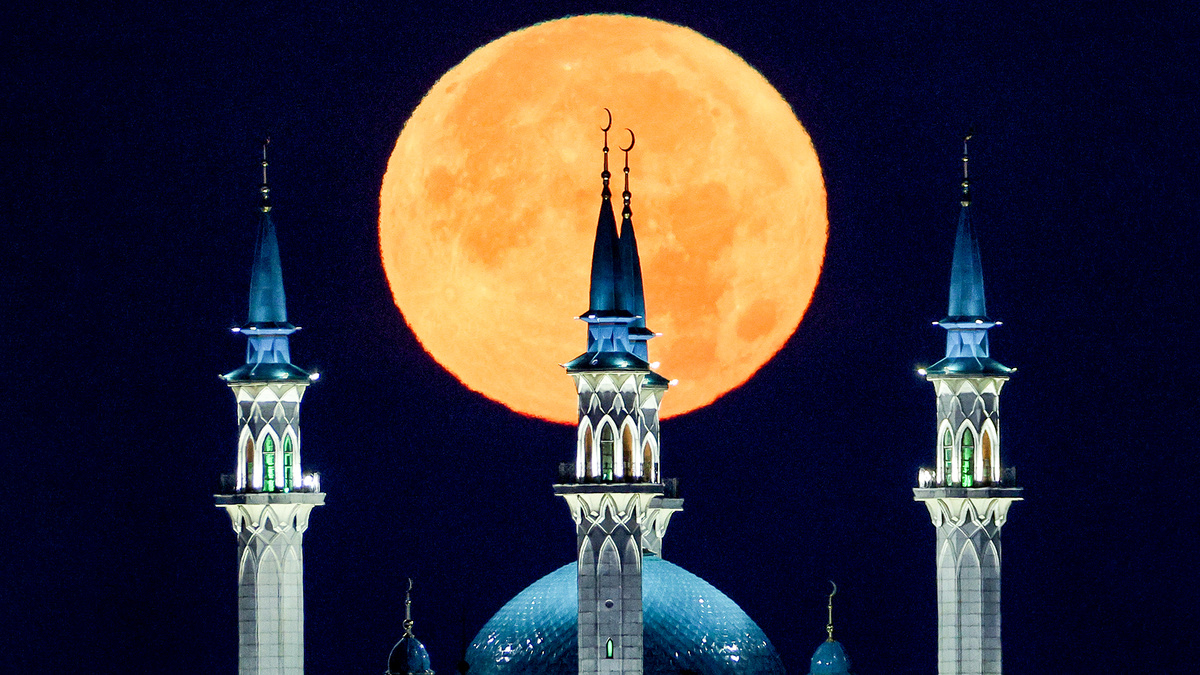 Егор Алеев / TASS