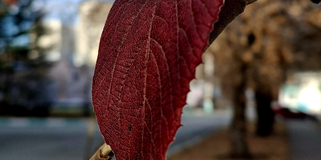День 29-30. Итоги месяца. Не только килограммы, но и вера в людей