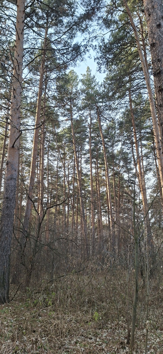 Зайца можете не искать) Не успела его запечаилеть