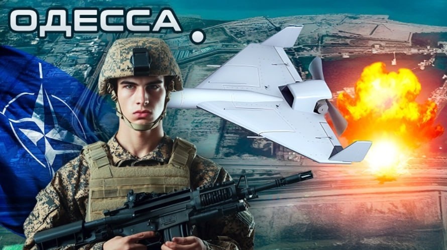 Коллаж Novorosinform