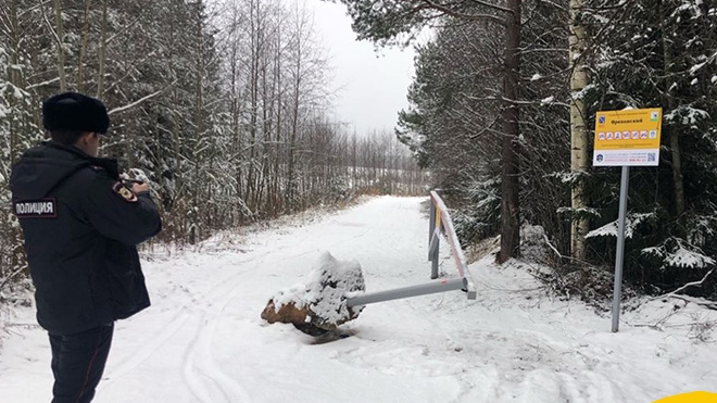 Фото: Дирекция ООПТ Ленинградской области