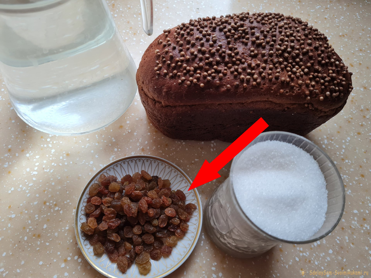    Секретный рецепт советского кваса с изюмом, который забыли даже бабушки