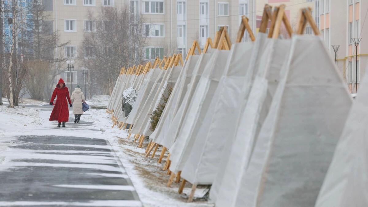    Фото: Андрей Ткачев / «Ямал-Медиа»