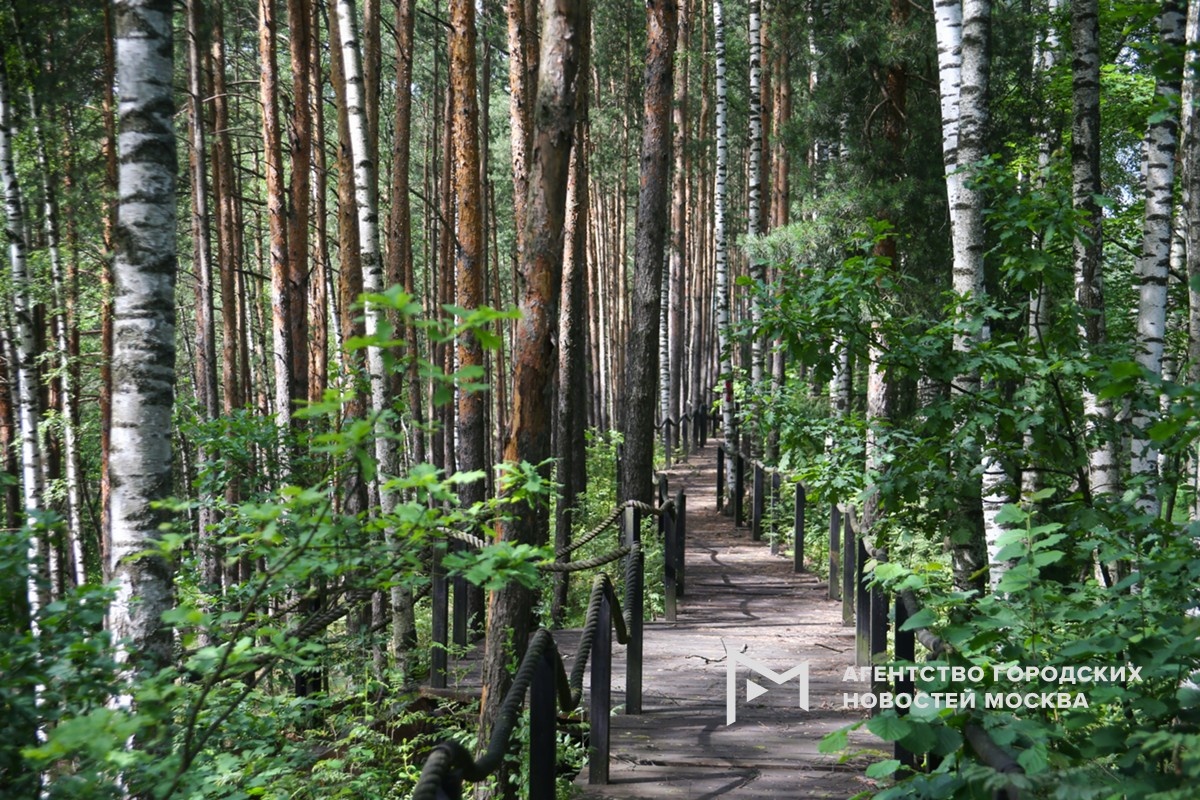 Фотограф: Сергей Ведяшкин