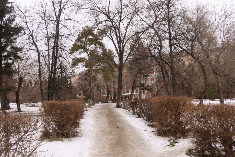    Конец осени в Барнауле. Источник: Виталий Барабаш