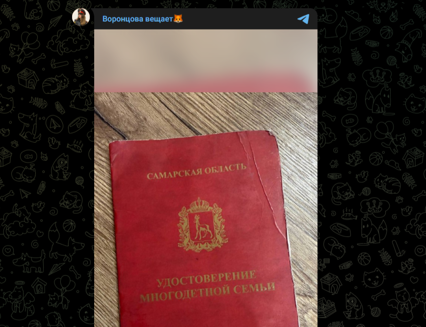 Фото: Telegram-канал "Воронцова вещает"