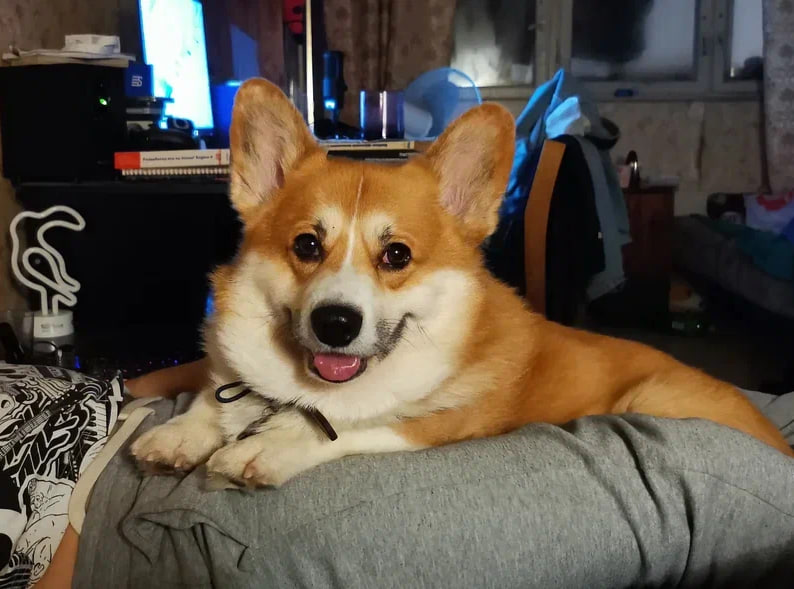 пятничный вайб