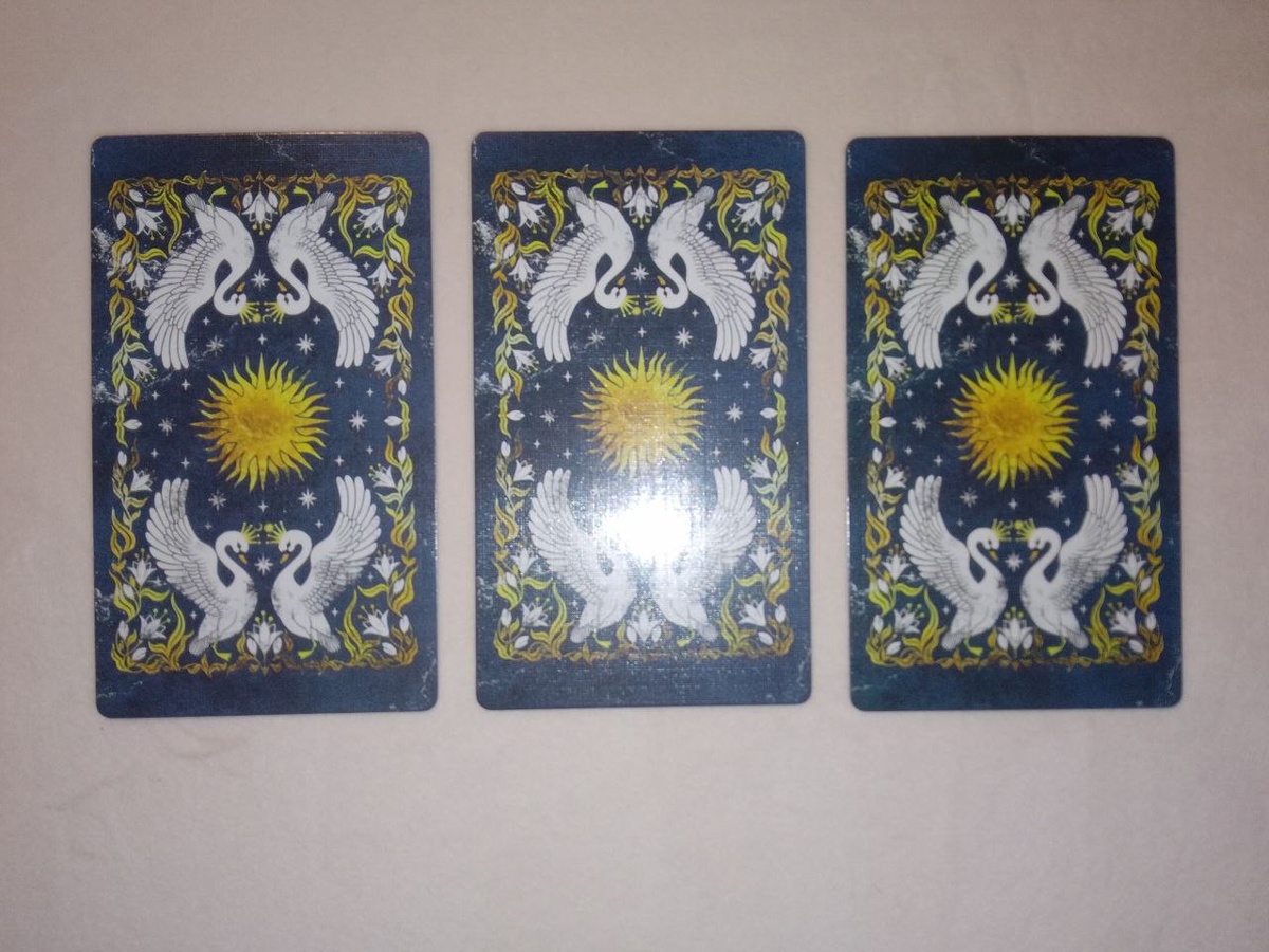 Выбор варианта