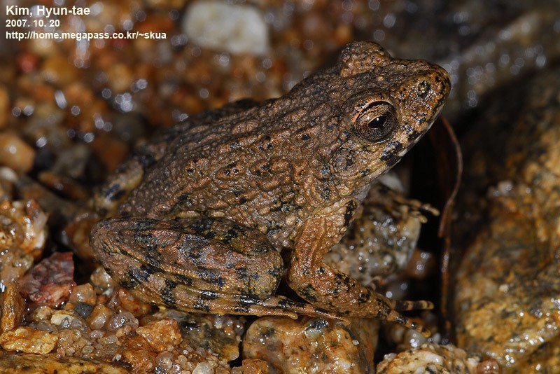 Источник фото: Wikipedia