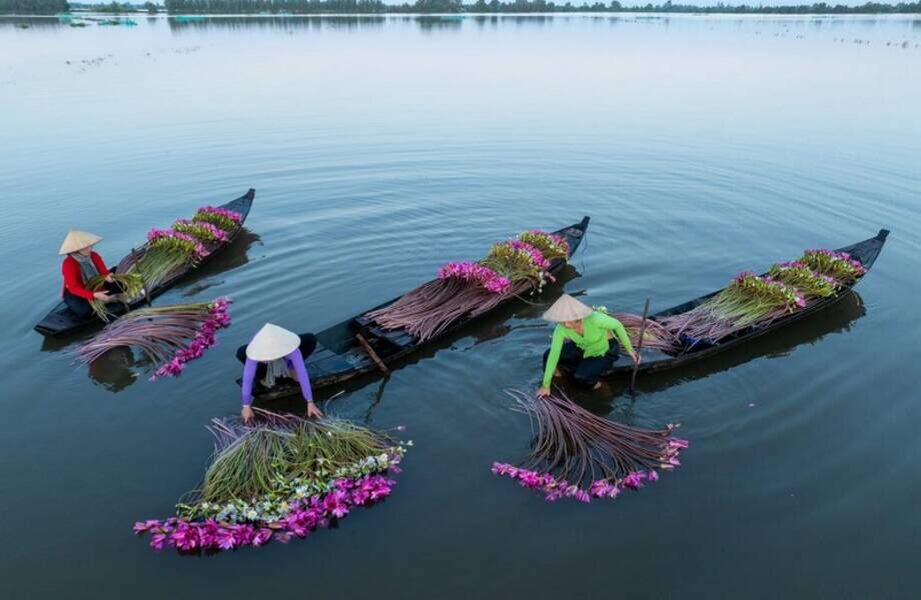    Фото: nytimes.com