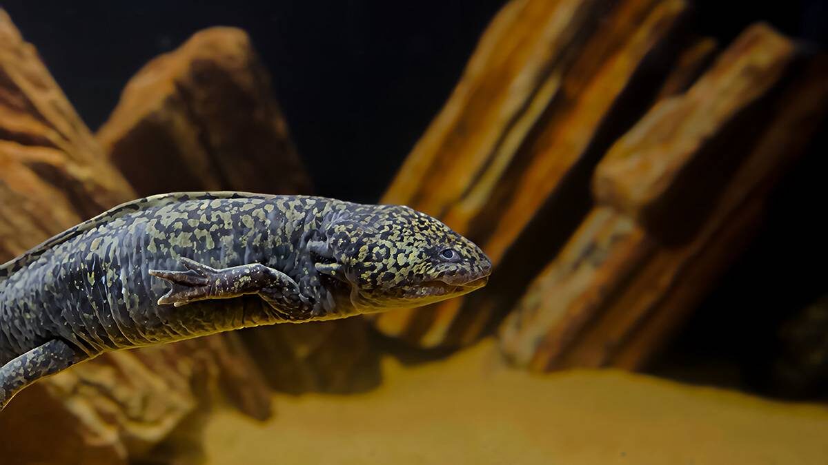    Фото: Москвариум