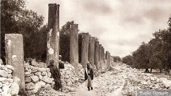     Фото: Public Domain   
 Текст: Дмитрий Зубарев