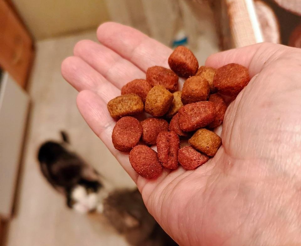 Коту такое есть не очень удобно, но вкусно все равно