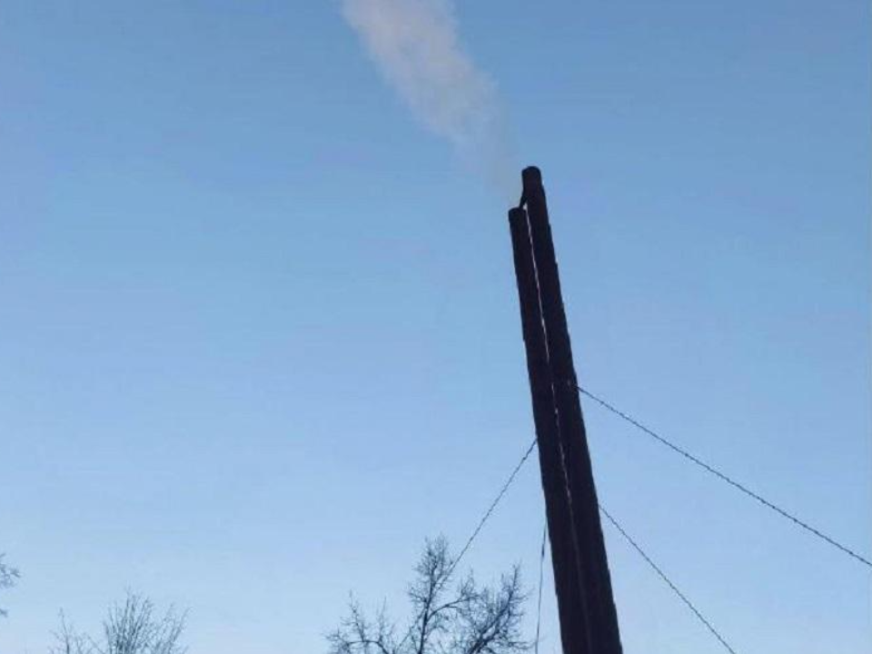    Фото: Министерство экологии и природопользования Московской области