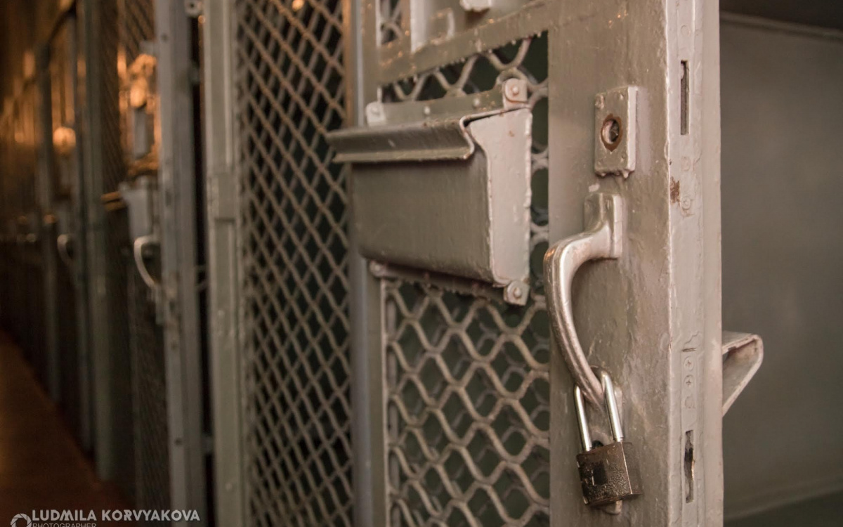    фото: © Людмила Корвякова, Столица на Онего