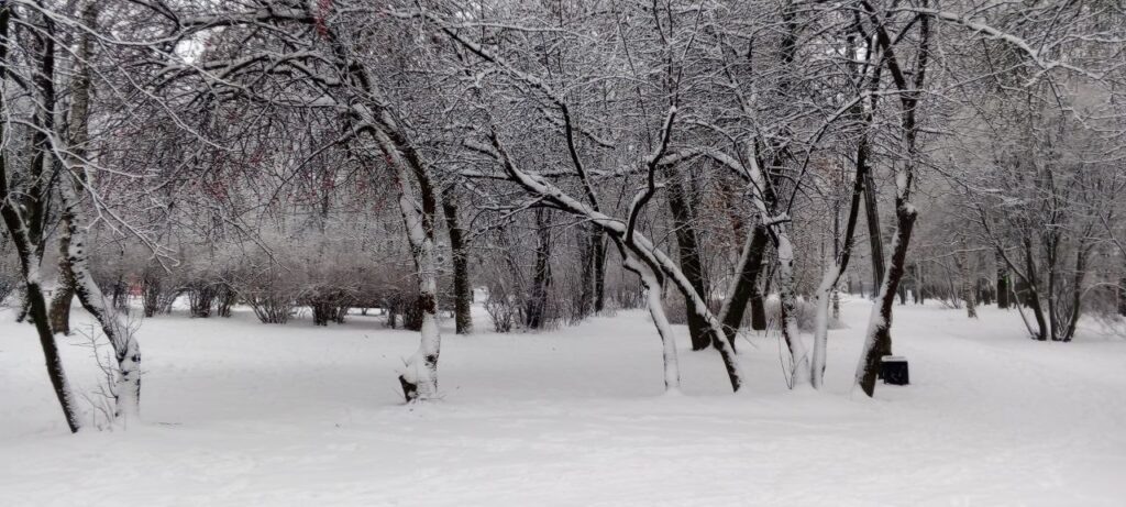 Фото: Антон Буялов/ «В мире спорта»