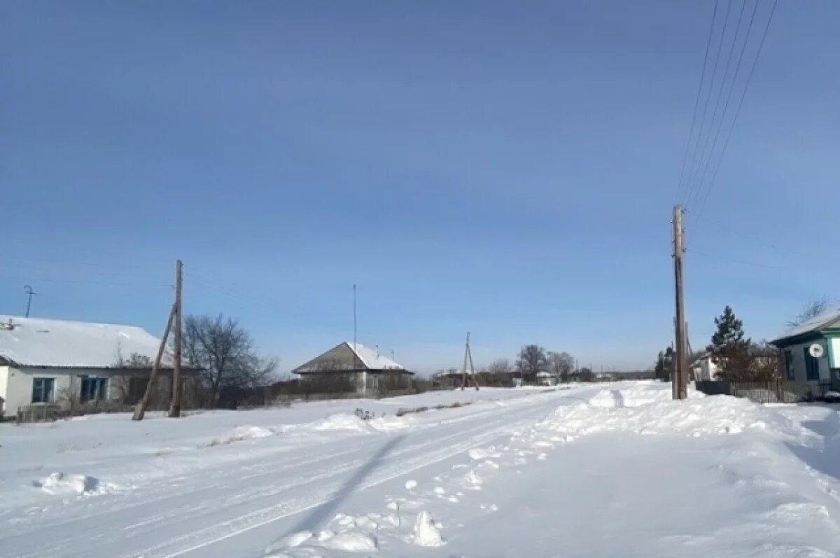    Из-за бешеной лисы ввели карантин в посёлке Новосибирской области