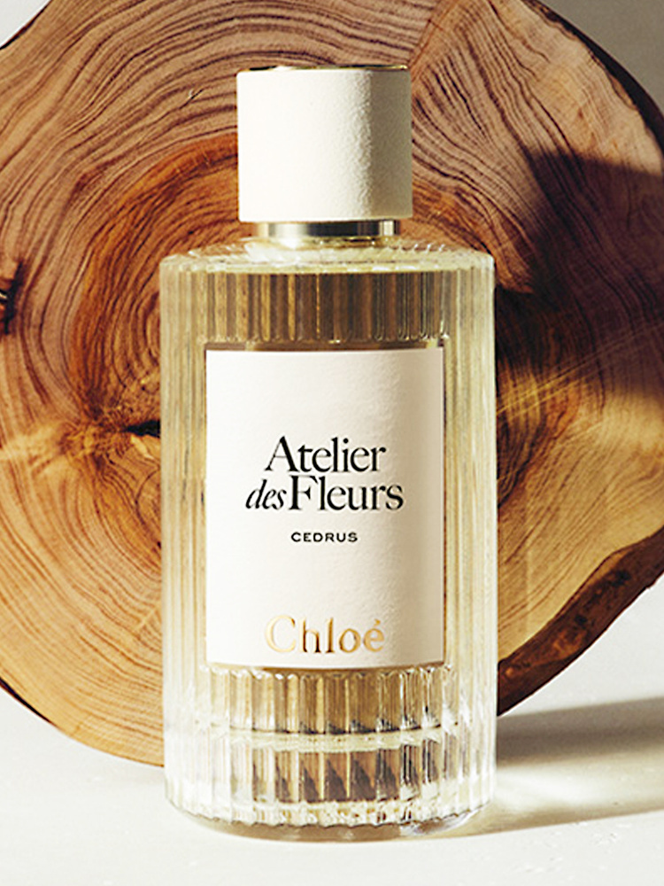 «Cedrus» Chloé.