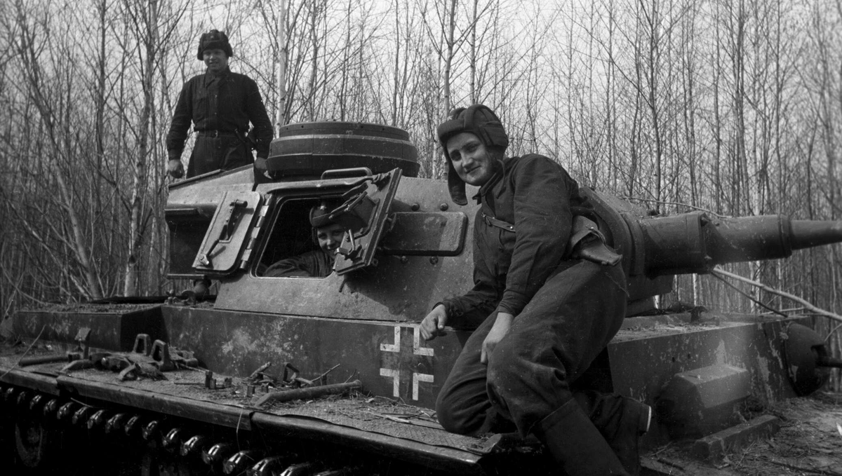 Яндекс картинки