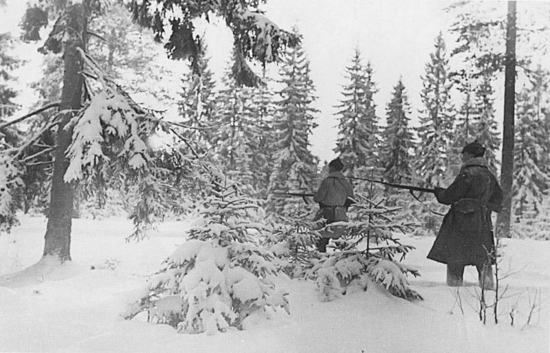 Яндекс картинки