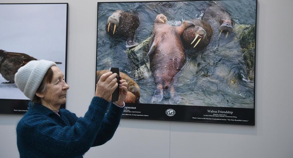    Komsomolskaya Pravda/Global Look Press / www.globallookpress.com