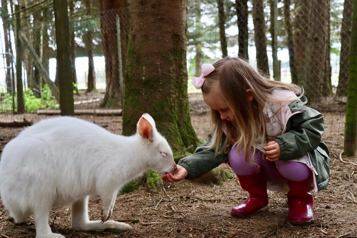Ну разве не красавец?