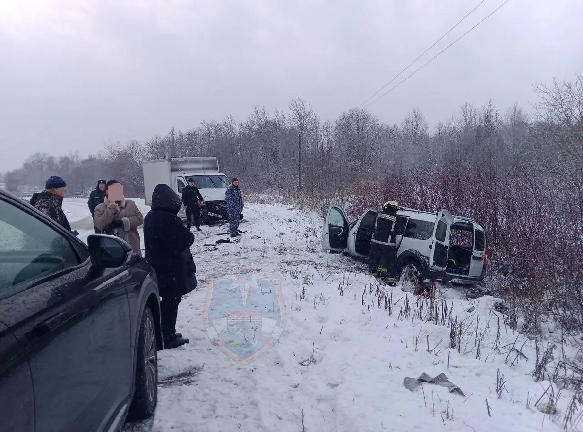    Фото: пресс-служба аварийно спасательной-службы Ленобласти.
