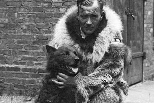     История хаски Балто, который помог спасти целый город на Аляске от гибели