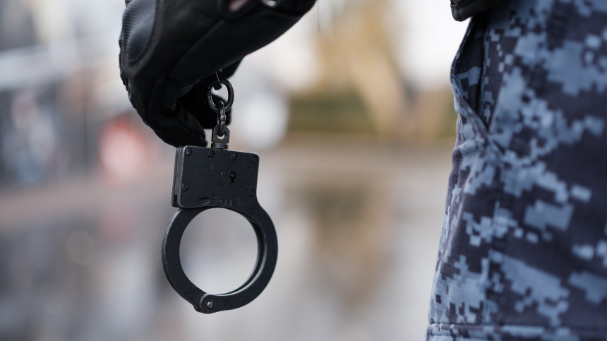    Фото: ИЗВЕСТИЯ/Сергей Виноградов; Telegram/Ирина Волк/IrinaVolk_MVD; 5-tv.ru