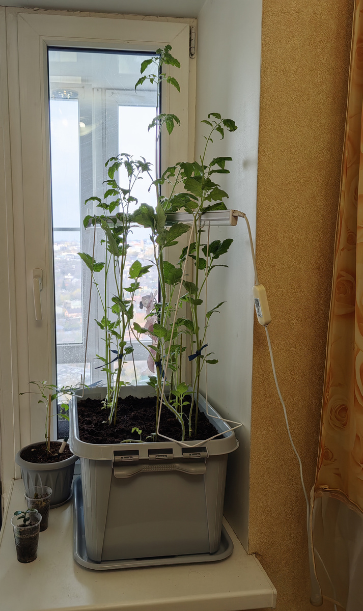 Вот так выглядела проблема.