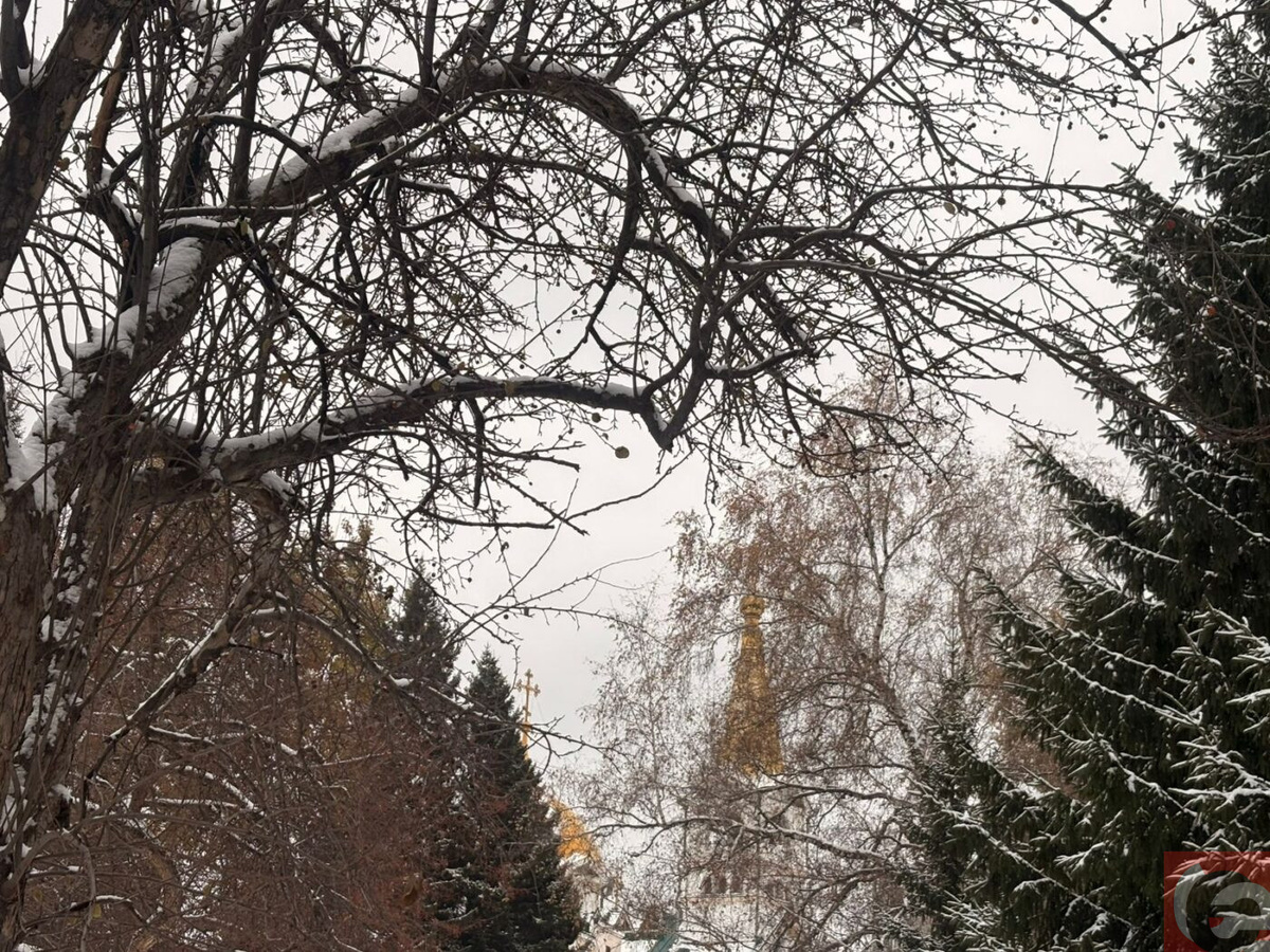    Фото: Прецедент