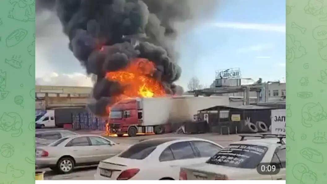    фото: тг-канал mash.