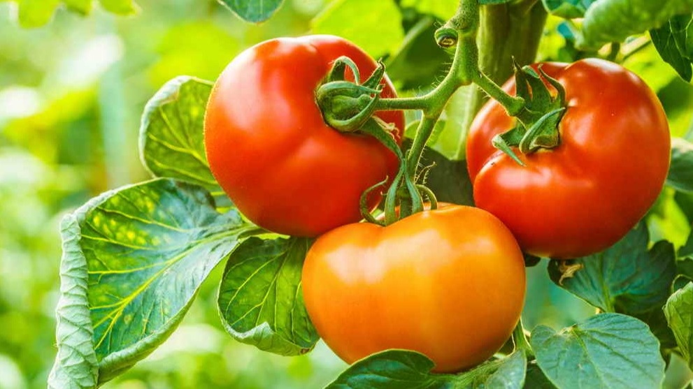 Системный подход дает стабильный результат каждый год