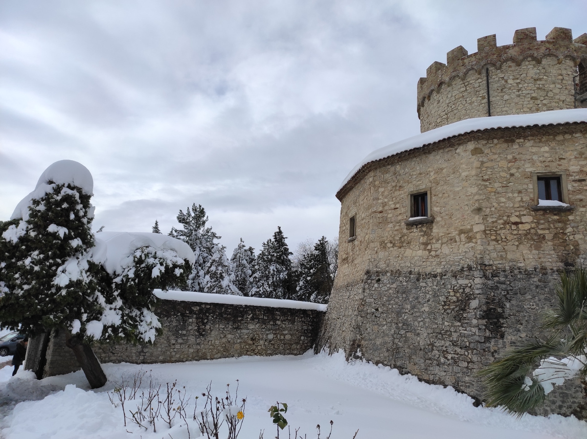 Палмоли зимой, фото автора