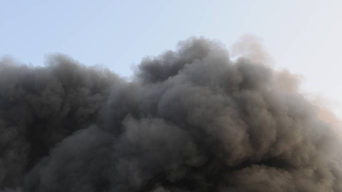    Фото: Shutterstock