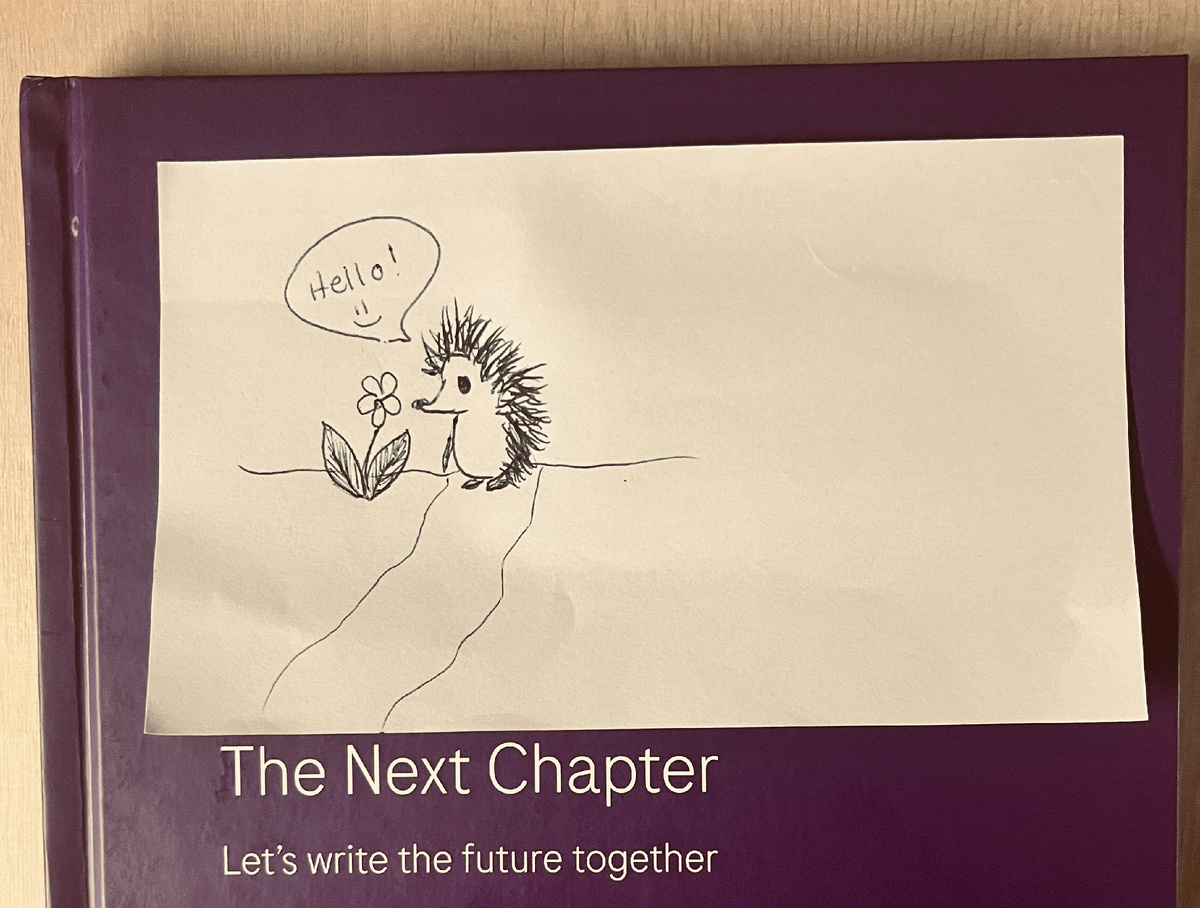 Еж крупным планом