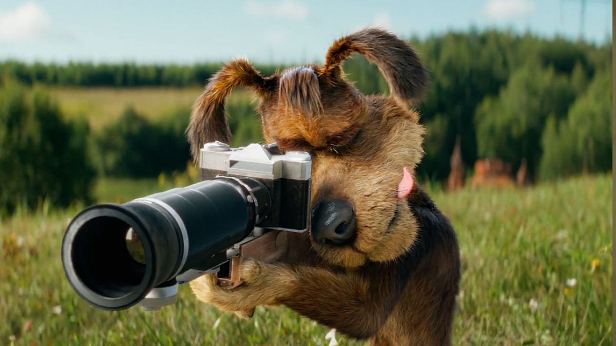 Фильм «Простоквашино» кадры