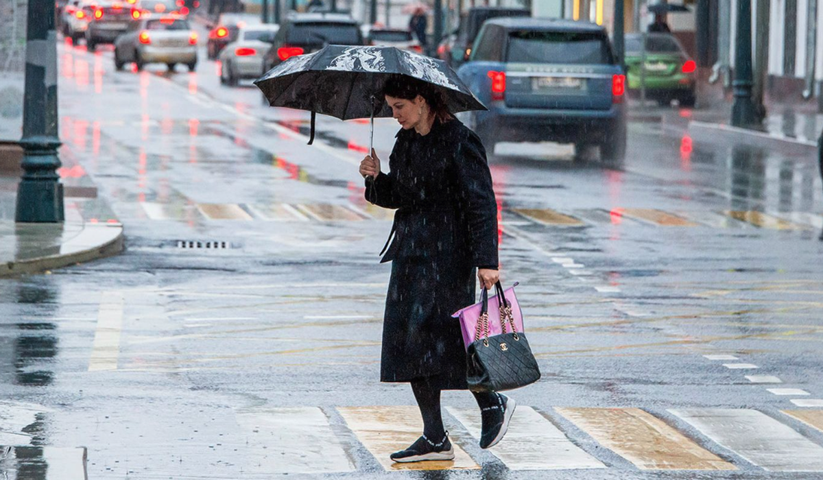    Фото: Ю. Иванко / Mos.ru