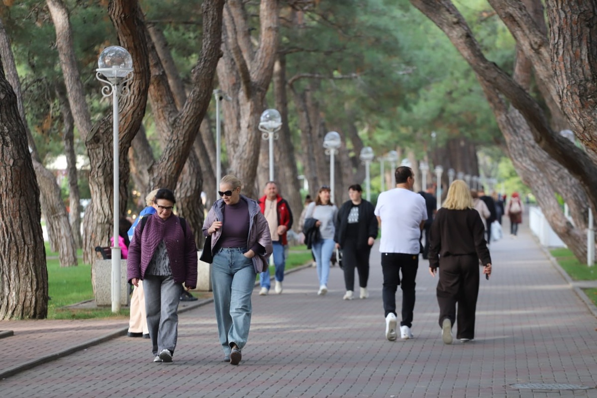    Фото: Администрация Геленджика, источник: admgel.ru