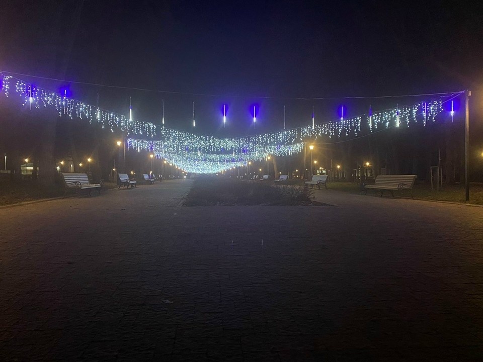    Фото: дирекция парков города Костромы