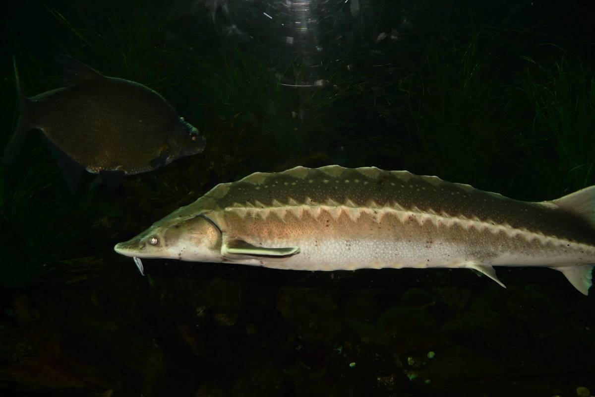    Фото pixabay.com