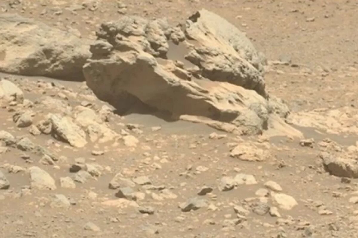    Астроном Киселев раскрыл секрет найденного на Марсе загадочного камня