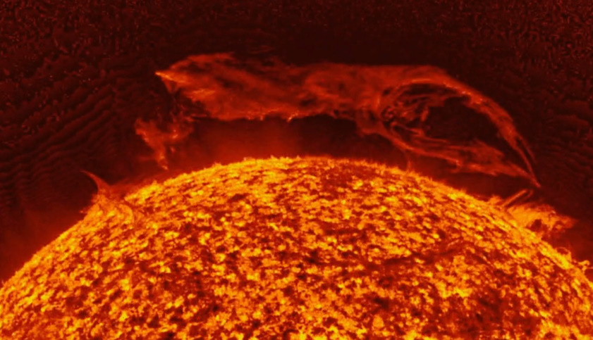 Фото из свободного доступа. Яндекс картинки. 