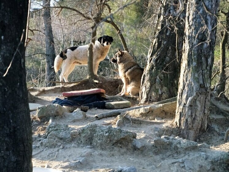     Фото: Янина Павленко/Telegram