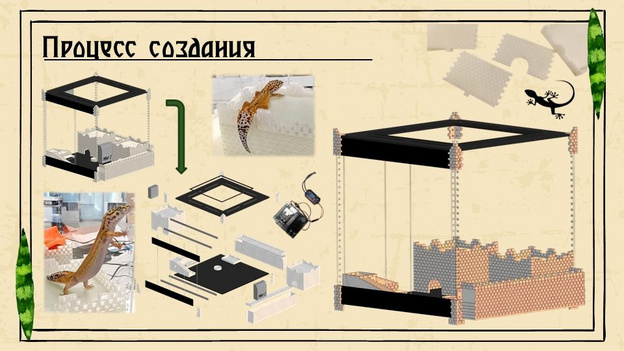    Кировские школьники создали умный террариум для геккона