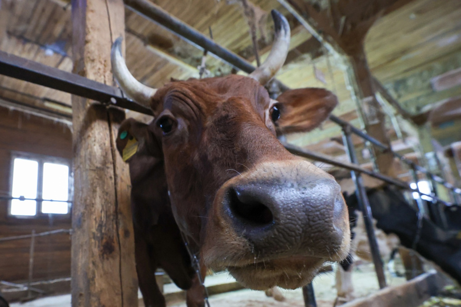    Наталья Шатохина/NEWS.ru