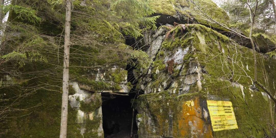 Волчье логово (Вольфсшанце). Мистическое место в северной Польше, где чуть не убили Гитлера