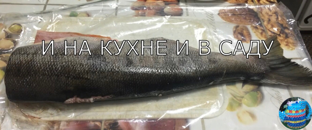 Солим рыбу в домашних условиях /просто и безопасно/.