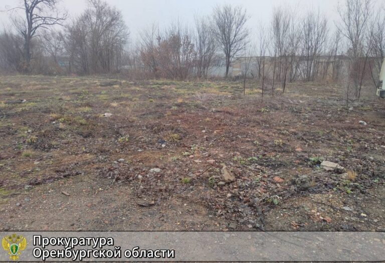    В Оренбургском районе отменили продажу двух участков Оренбуржье